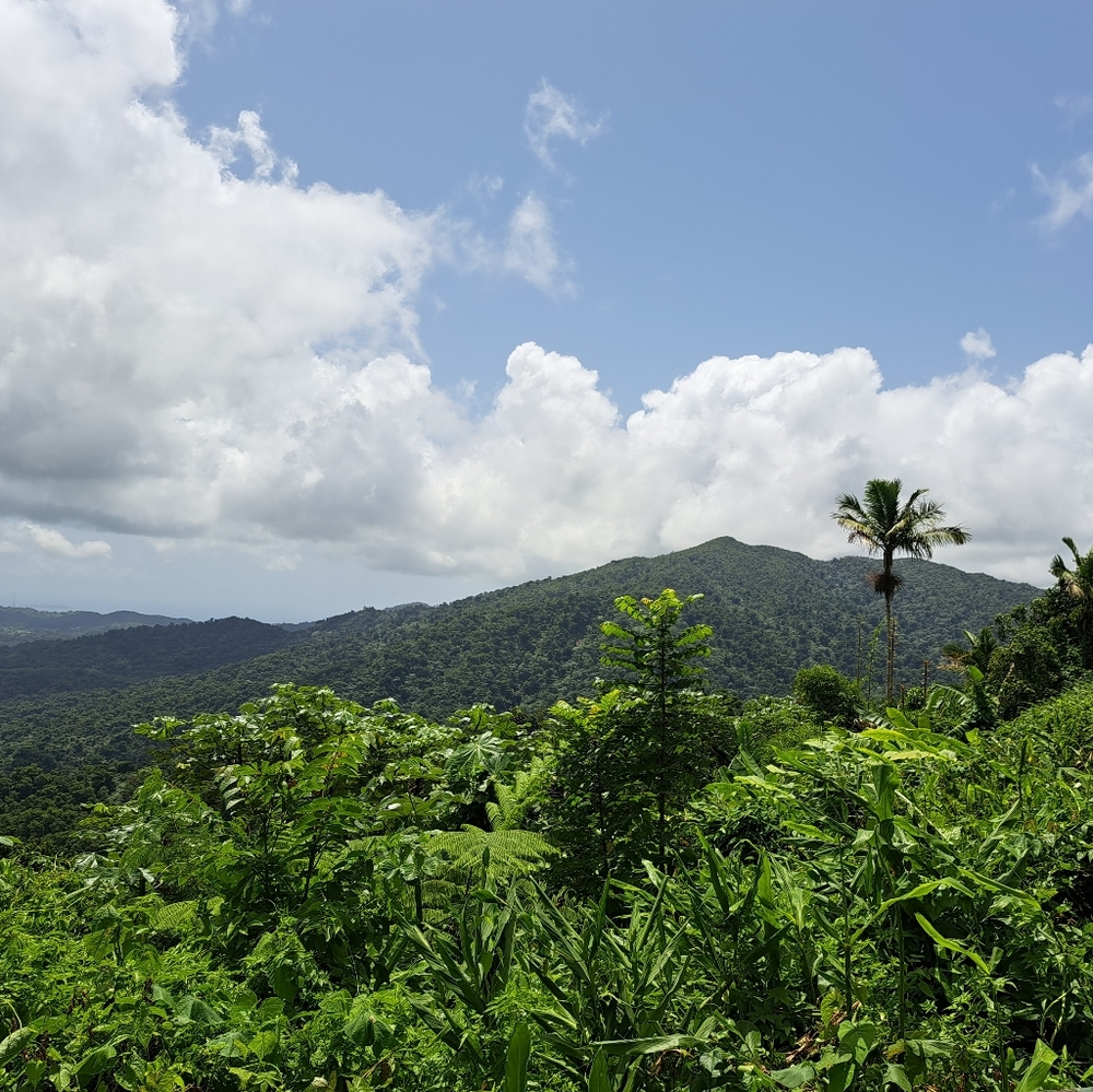 Meet your Posher, Stacie